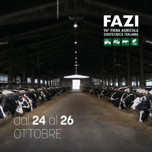 img news fazi 2025